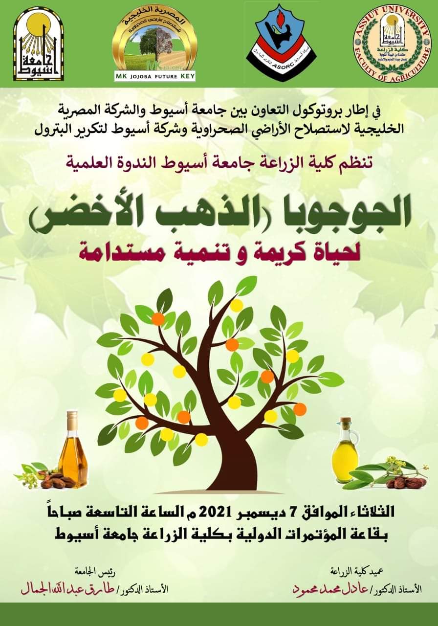 الجوجوبا