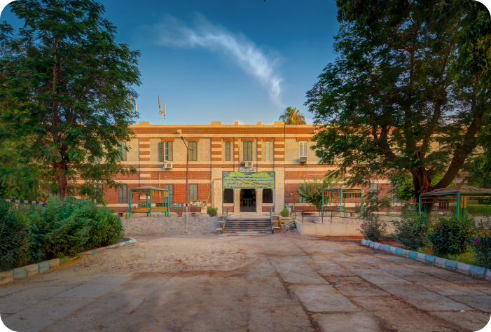 degrees & diploma arts